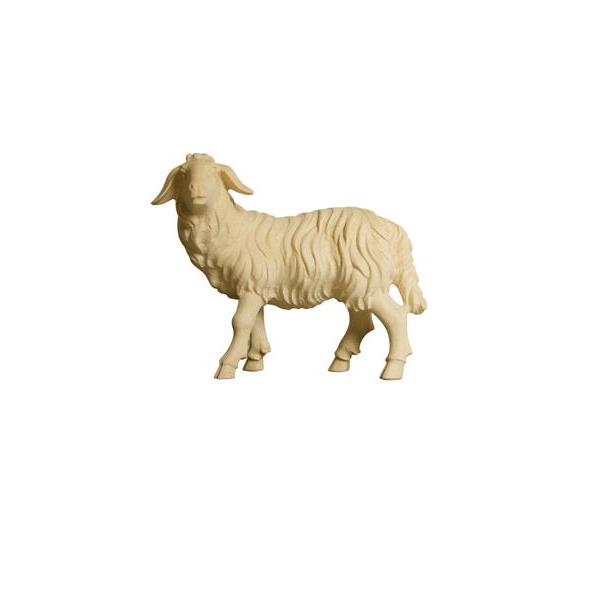 ZI Schaf stehend linksschauend - natur