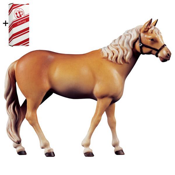 Pferd Haflinger + Geschenkbox - color