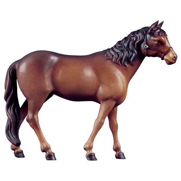 Pferd Brauner - color