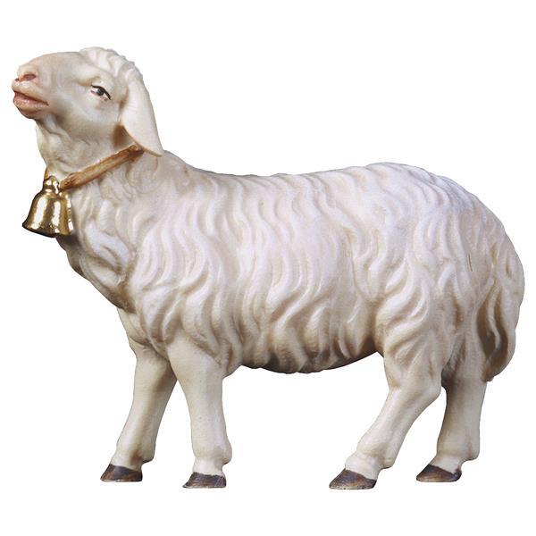 UL Schaf geradeaus schauend mit Glocke - color