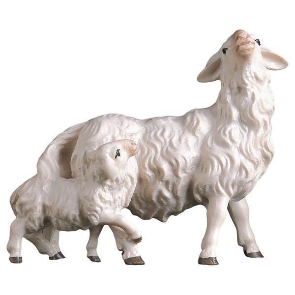 UL Schaf mit Lamm hinten - color