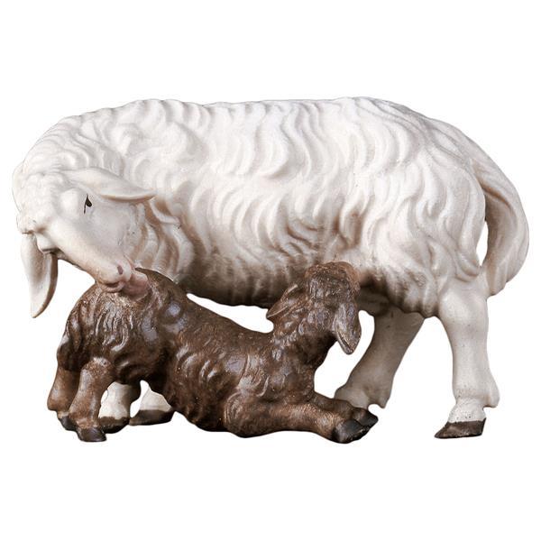 UL Schaf mit Lamm säugend - color