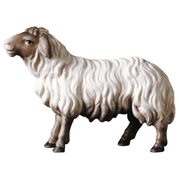 HI Schaf geradeaus schauend Kopf braun - color