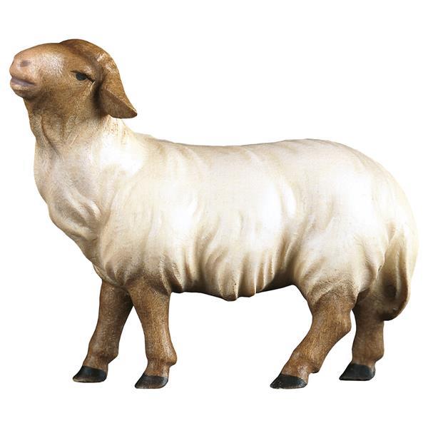 KO Schaf geradeaus schauend Kopf braun - color
